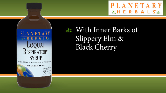 Amazon.com: Planetary Herbals Loquat Respiratory Syrup,4 Fluid